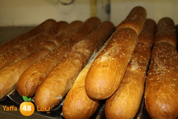 k7eelkhobzn455 (6).JPG